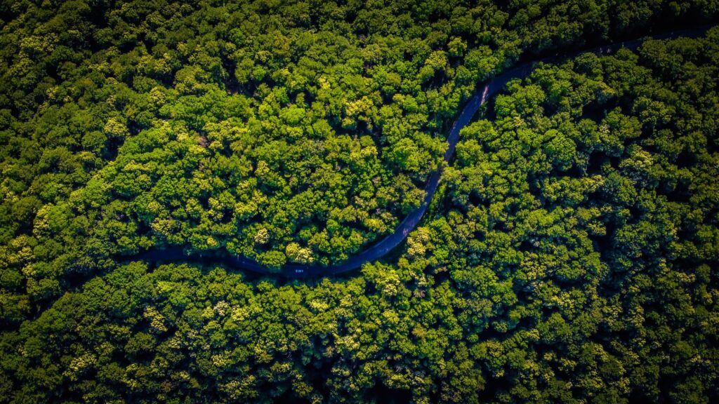 Vista aérea al río Amazonas