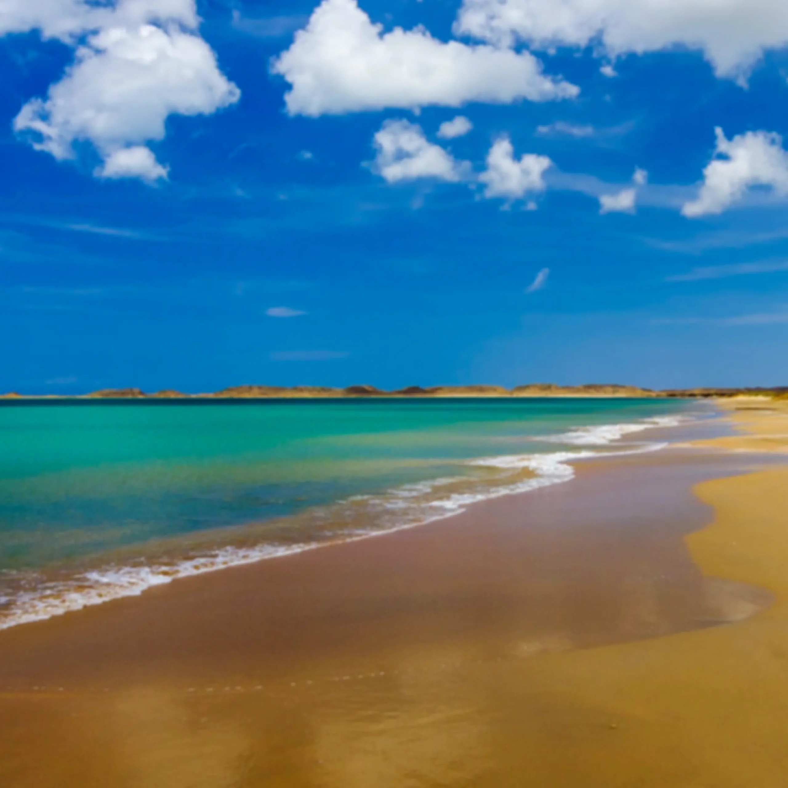 Descubre todos los destinos ecoturísticos de Colombia con Siempre Colombia: Amazonas, La Guajira, Zona Cafetera, Parque Nacional Tayrona, Llanos Orientales, Chocó Biogeográfico, Sierra Nevada de Santa Marta, San Andrés, Guaviare, Putumayo, Caquetá, Santander, Sierra de la Macarena, entre otros. Vive la aventura, biodiversidad, cultura y naturaleza con turismo responsable.