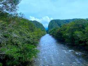 Portales del fragua en la región del caqueta colombiano
