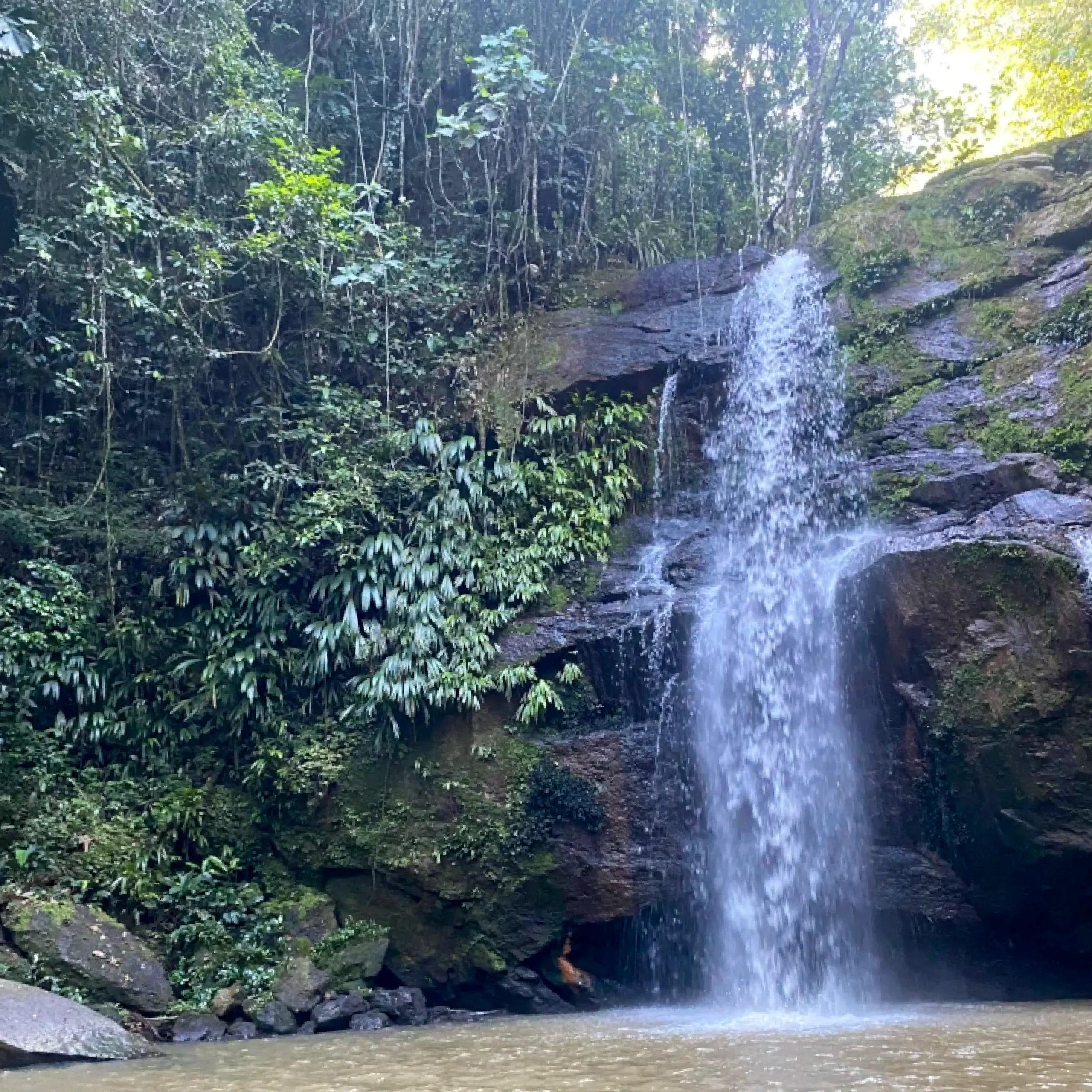 Descubre todos los destinos ecoturísticos de Colombia con Siempre Colombia: Amazonas, La Guajira, Zona Cafetera, Parque Nacional Tayrona, Llanos Orientales, Chocó Biogeográfico, Sierra Nevada de Santa Marta, San Andrés, Guaviare, Putumayo, Caquetá, Santander, Sierra de la Macarena, entre otros. Vive la aventura, biodiversidad, cultura y naturaleza con turismo responsable.