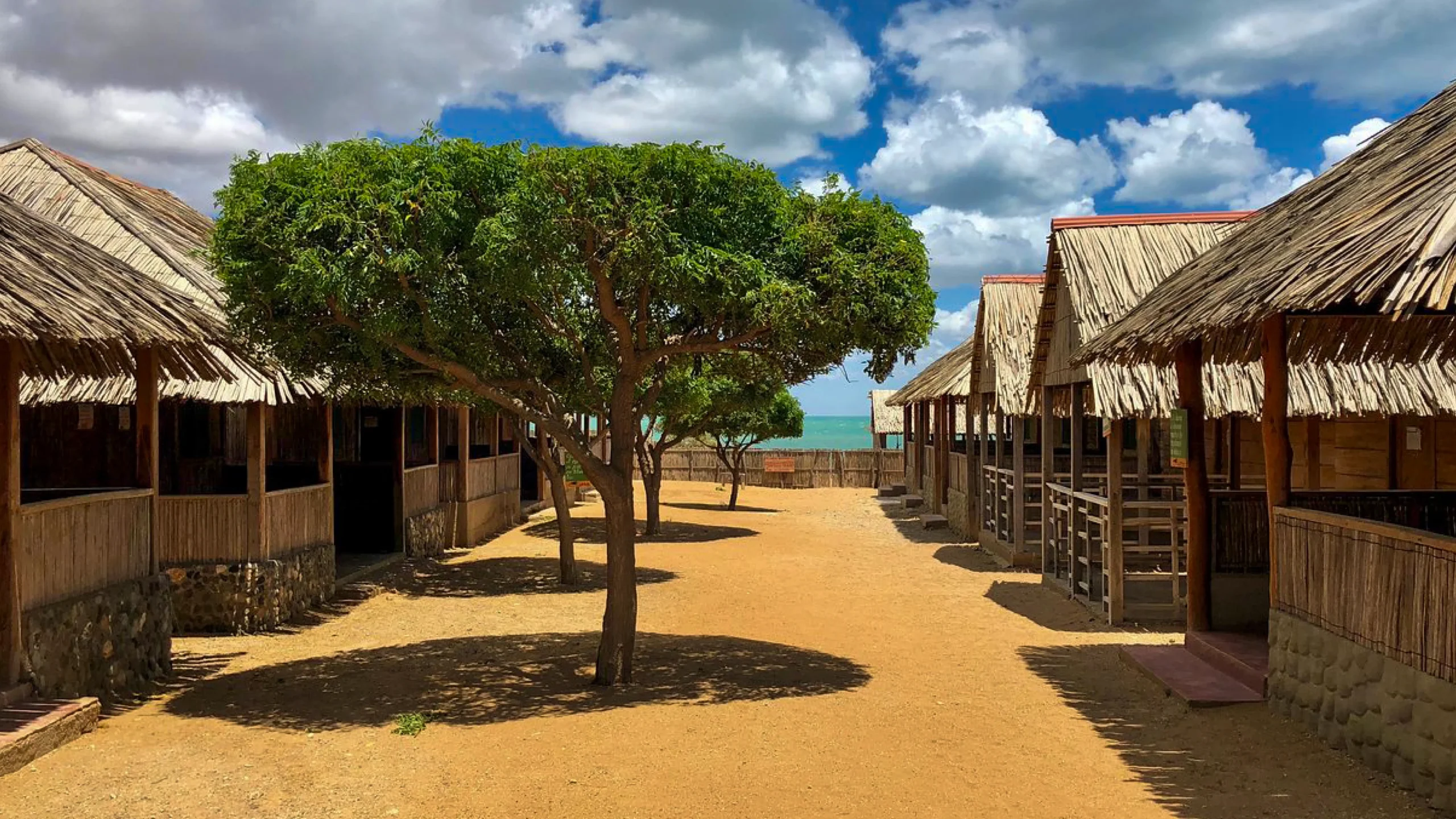 Descubre todos los destinos ecoturísticos de Colombia con Siempre Colombia: Amazonas, La Guajira, Zona Cafetera, Parque Nacional Tayrona, Llanos Orientales, Chocó Biogeográfico, Sierra Nevada de Santa Marta, San Andrés, Guaviare, Putumayo, Caquetá, Santander, Sierra de la Macarena, entre otros. Vive la aventura, biodiversidad, cultura y naturaleza con turismo responsable.