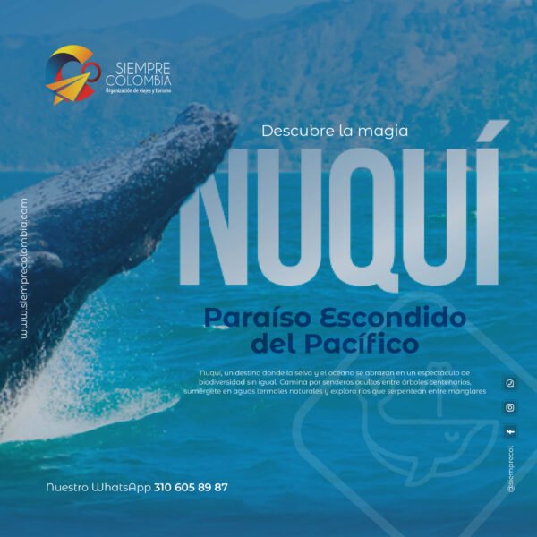 Descubre todos los destinos ecoturísticos de Colombia con Siempre Colombia: Amazonas, La Guajira, Zona Cafetera, Parque Nacional Tayrona, Llanos Orientales, Chocó Biogeográfico, Sierra Nevada de Santa Marta, San Andrés, Guaviare, Putumayo, Caquetá, Santander, Sierra de la Macarena, entre otros. Vive la aventura, biodiversidad, cultura y naturaleza con turismo responsable.