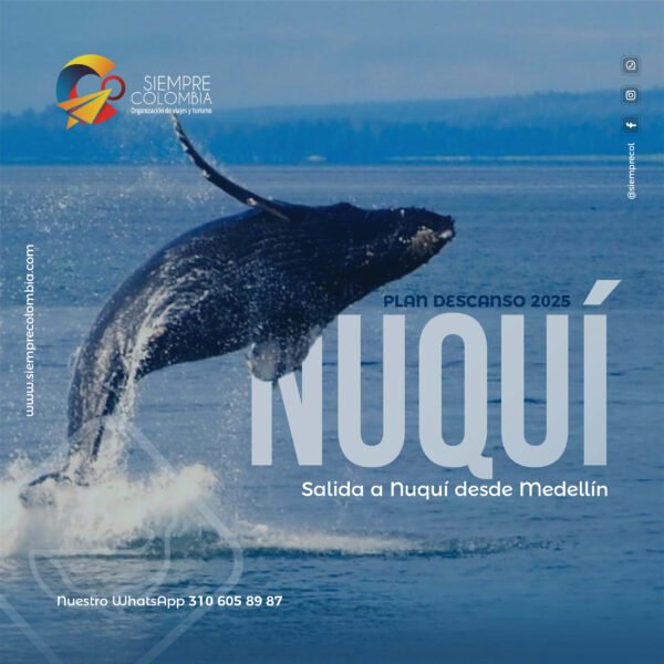 Descubre todos los destinos ecoturísticos de Colombia con Siempre Colombia: Amazonas, La Guajira, Zona Cafetera, Parque Nacional Tayrona, Llanos Orientales, Chocó Biogeográfico, Sierra Nevada de Santa Marta, San Andrés, Guaviare, Putumayo, Caquetá, Santander, Sierra de la Macarena, entre otros. Vive la aventura, biodiversidad, cultura y naturaleza con turismo responsable.