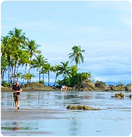 Descubre todos los destinos ecoturísticos de Colombia con Siempre Colombia: Amazonas, La Guajira, Zona Cafetera, Parque Nacional Tayrona, Llanos Orientales, Chocó Biogeográfico, Sierra Nevada de Santa Marta, San Andrés, Guaviare, Putumayo, Caquetá, Santander, Sierra de la Macarena, entre otros. Vive la aventura, biodiversidad, cultura y naturaleza con turismo responsable.