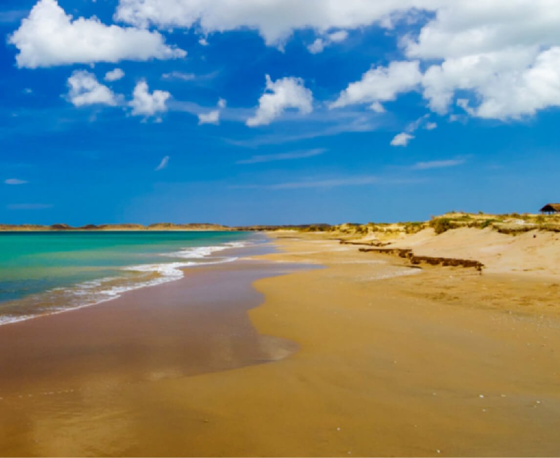 Descubre todos los destinos ecoturísticos de Colombia con Siempre Colombia: Amazonas, La Guajira, Zona Cafetera, Parque Nacional Tayrona, Llanos Orientales, Chocó Biogeográfico, Sierra Nevada de Santa Marta, San Andrés, Guaviare, Putumayo, Caquetá, Santander, Sierra de la Macarena, entre otros. Vive la aventura, biodiversidad, cultura y naturaleza con turismo responsable.
