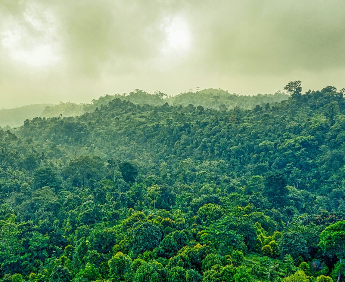 Plan Amazonas - Destino | Plan Amazonas | Arara | El Encanto Amazónico | Kaya Marasha | Plan Amazonas Travesías del Pirarucú Descubre todos los destinos ecoturísticos de Colombia con Siempre Colombia: Amazonas, La Guajira, Zona Cafetera, Parque Nacional Tayrona, Llanos Orientales, Chocó Biogeográfico, Sierra Nevada de Santa Marta, San Andrés, Guaviare, Putumayo, Caquetá, Santander, Sierra de la Macarena, entre otros. Vive la aventura, biodiversidad, cultura y naturaleza con turismo responsable.