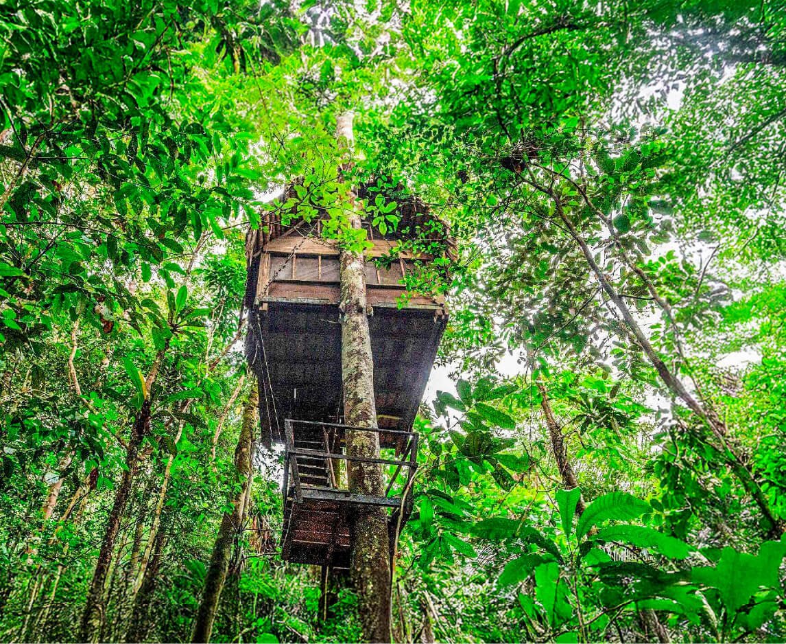 Plan Amazonas - Destino | Plan Amazonas | Arara | El Encanto Amazónico | Kaya Marasha | Plan Amazonas Travesías del Pirarucú Descubre todos los destinos ecoturísticos de Colombia con Siempre Colombia: Amazonas, La Guajira, Zona Cafetera, Parque Nacional Tayrona, Llanos Orientales, Chocó Biogeográfico, Sierra Nevada de Santa Marta, San Andrés, Guaviare, Putumayo, Caquetá, Santander, Sierra de la Macarena, entre otros. Vive la aventura, biodiversidad, cultura y naturaleza con turismo responsable.