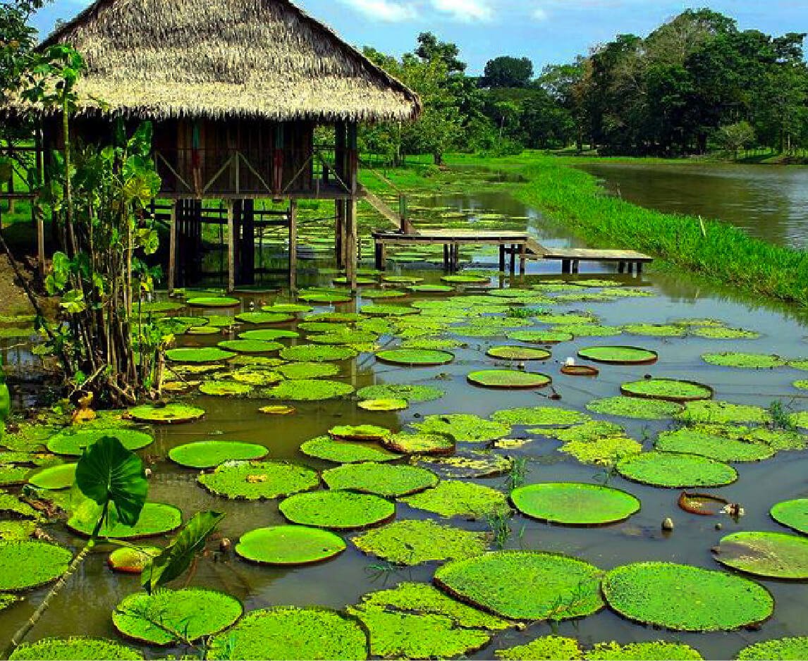 Plan Amazonas - Destino | Plan Amazonas | Arara | El Encanto Amazónico | Kaya Marasha | Plan Amazonas Travesías del Pirarucú Descubre todos los destinos ecoturísticos de Colombia con Siempre Colombia: Amazonas, La Guajira, Zona Cafetera, Parque Nacional Tayrona, Llanos Orientales, Chocó Biogeográfico, Sierra Nevada de Santa Marta, San Andrés, Guaviare, Putumayo, Caquetá, Santander, Sierra de la Macarena, entre otros. Vive la aventura, biodiversidad, cultura y naturaleza con turismo responsable.