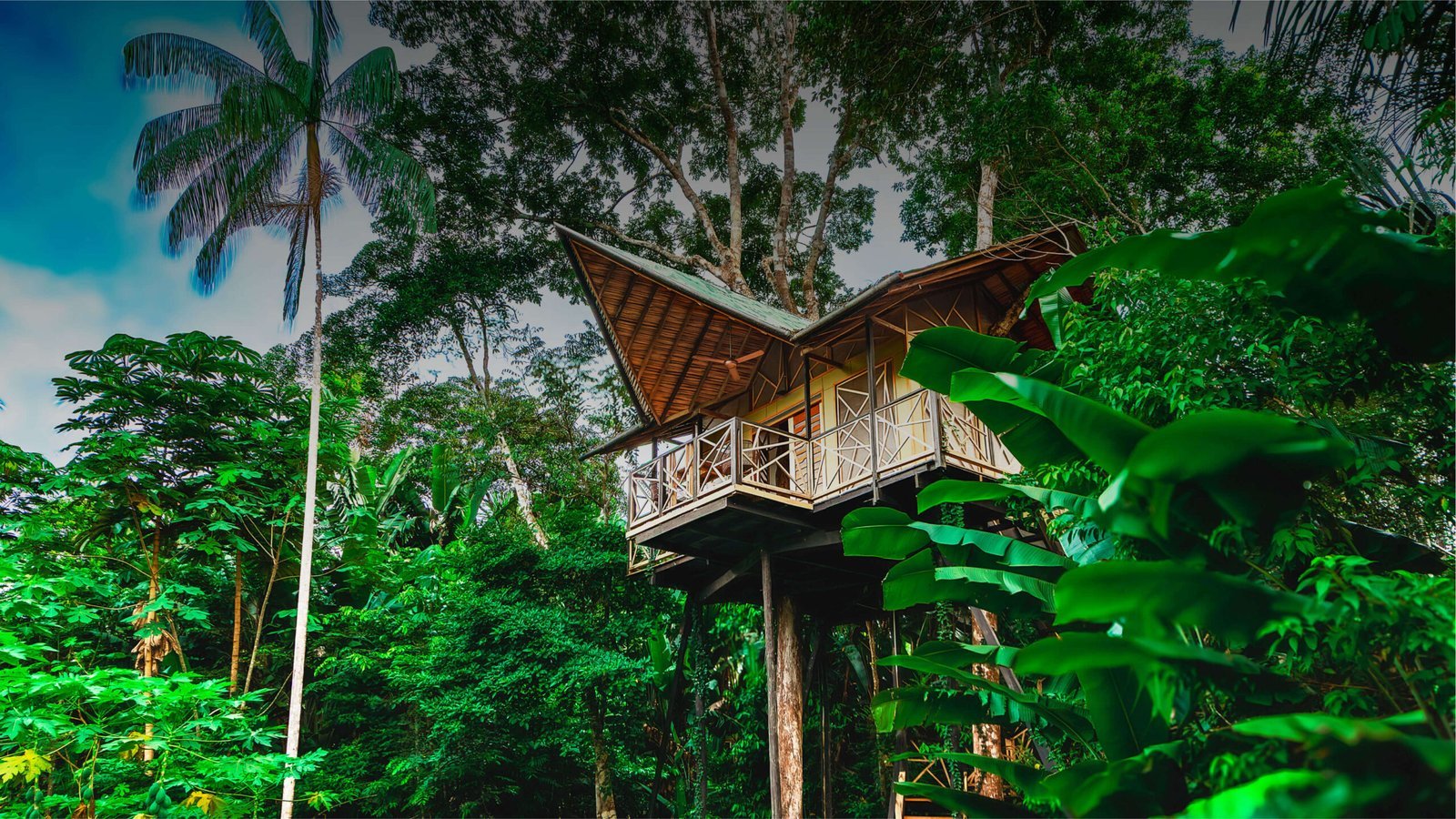 Burú Nature Hotel - Ecohabs en la selva amazónica – Hospedaje en casas en los árboles en Leticia, Colombia - Amazon rainforest ecohabs – Treehouse lodging in Leticia, Colombia