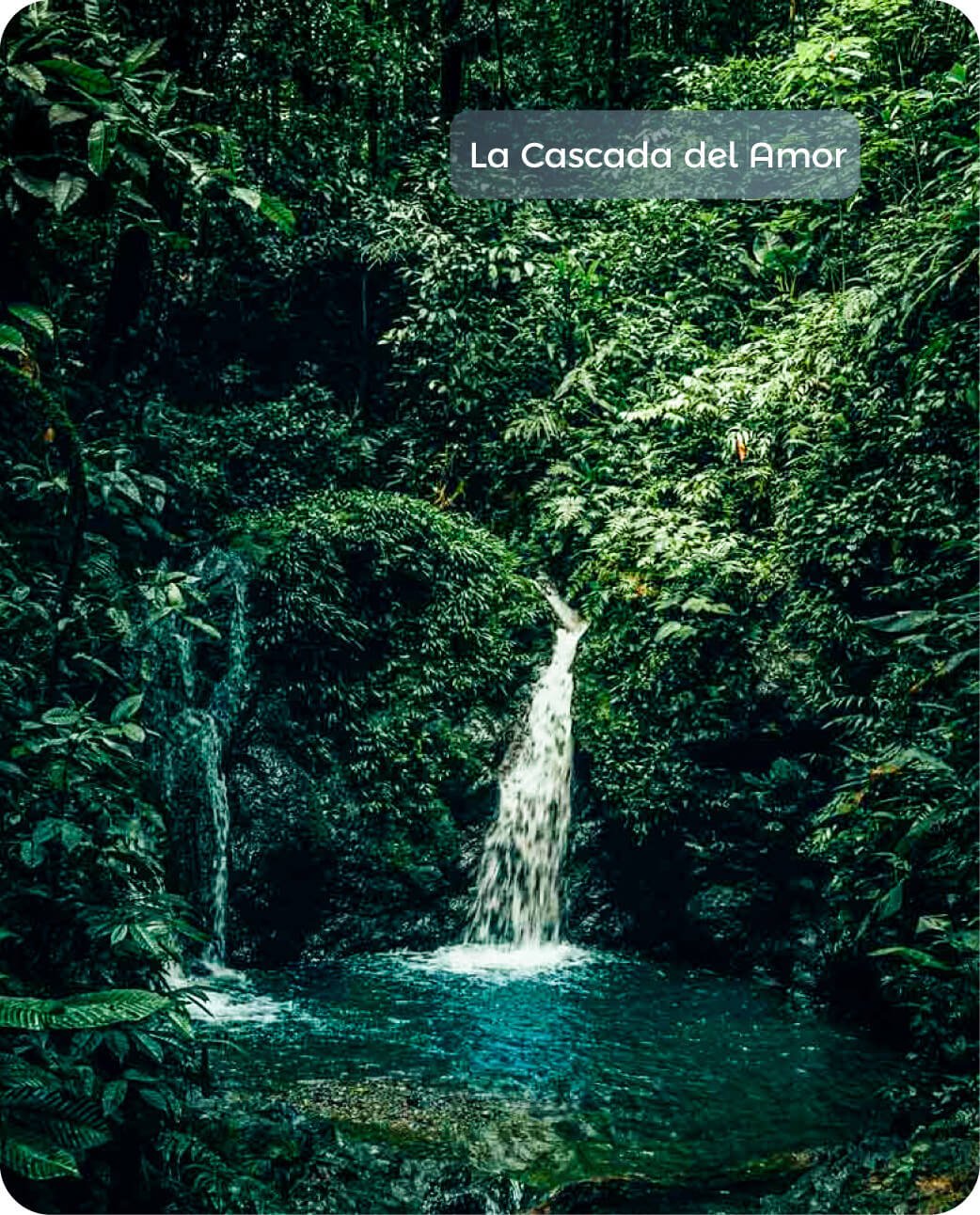 Banner Principal - Nuquí Liberación tortugas_Liberación de Tortugas Nuquí - Siempre Colombia - La Cascada del Amor