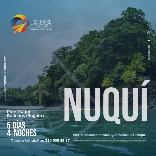 Plan Nuquí | Temporada - Plan Ballenas (Bogotá)
