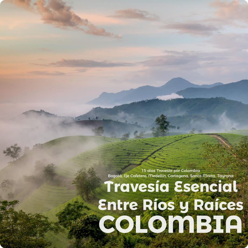 Descubre todos los destinos ecoturísticos de Colombia con Siempre Colombia: Amazonas, La Guajira, Zona Cafetera, Parque Nacional Tayrona, Llanos Orientales, Chocó Biogeográfico, Sierra Nevada de Santa Marta, San Andrés, Guaviare, Putumayo, Caquetá, Santander, Sierra de la Macarena, entre otros. Vive la aventura, biodiversidad, cultura y naturaleza con turismo responsable.