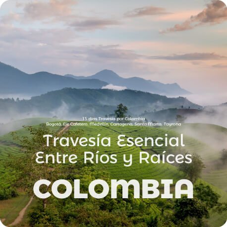 Descubre todos los destinos ecoturísticos de Colombia con Siempre Colombia: Amazonas, La Guajira, Zona Cafetera, Parque Nacional Tayrona, Llanos Orientales, Chocó Biogeográfico, Sierra Nevada de Santa Marta, San Andrés, Guaviare, Putumayo, Caquetá, Santander, Sierra de la Macarena, entre otros. Vive la aventura, biodiversidad, cultura y naturaleza con turismo responsable.