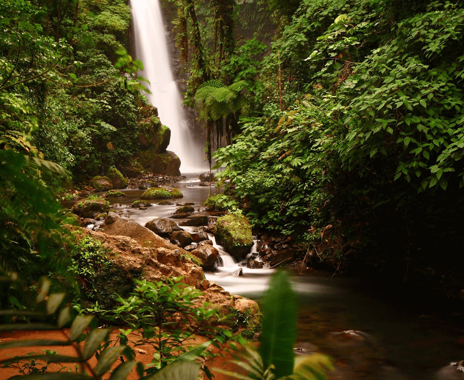 Descubre todos los destinos ecoturísticos de Colombia con Siempre Colombia: Amazonas, La Guajira, Zona Cafetera, Parque Nacional Tayrona, Llanos Orientales, Chocó Biogeográfico, Sierra Nevada de Santa Marta, San Andrés, Guaviare, Putumayo, Caquetá, Santander, Sierra de la Macarena, entre otros. Vive la aventura, biodiversidad, cultura y naturaleza con turismo responsable.