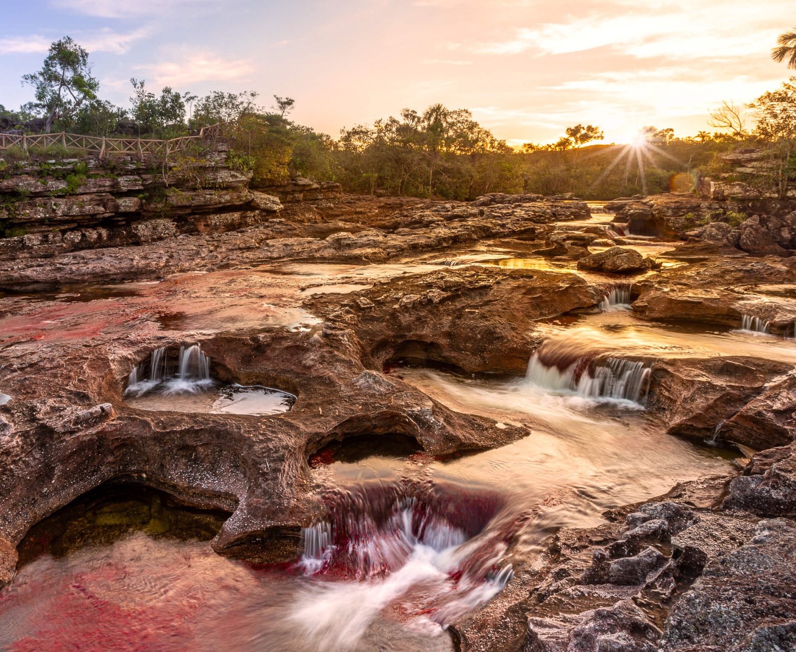 Discover all of Colombia’s ecotourism destinations with Siempre Colombia: Amazonas, La Guajira, the Coffee Region, Tayrona National Park, the Eastern Plains, the Chocó Biogeographic Region, the Sierra Nevada de Santa Marta, San Andrés, Guaviare, Putumayo, Caquetá, Santander, and the Sierra de la Macarena, among others. Experience adventure, biodiversity, culture, and nature through responsible tourism.