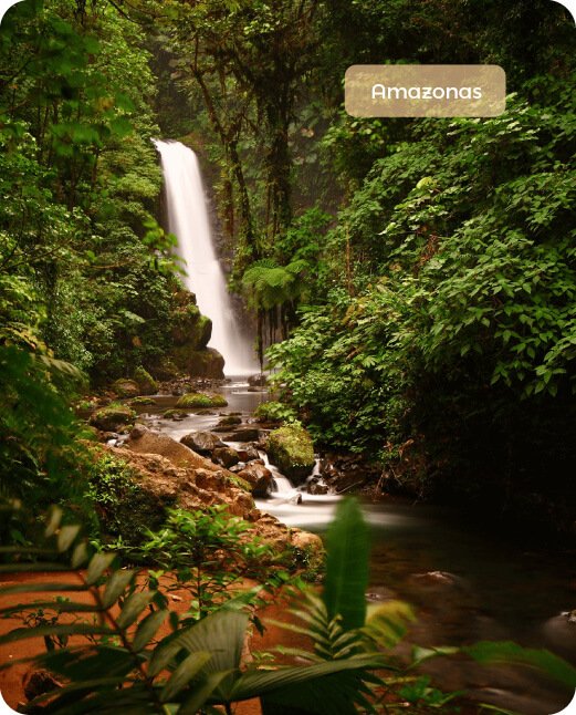 Descubre todos los destinos ecoturísticos de Colombia con Siempre Colombia: Amazonas, La Guajira, Zona Cafetera, Parque Nacional Tayrona, Llanos Orientales, Chocó Biogeográfico, Sierra Nevada de Santa Marta, San Andrés, Guaviare, Putumayo, Caquetá, Santander, Sierra de la Macarena, entre otros. Vive la aventura, biodiversidad, cultura y naturaleza con turismo responsable.