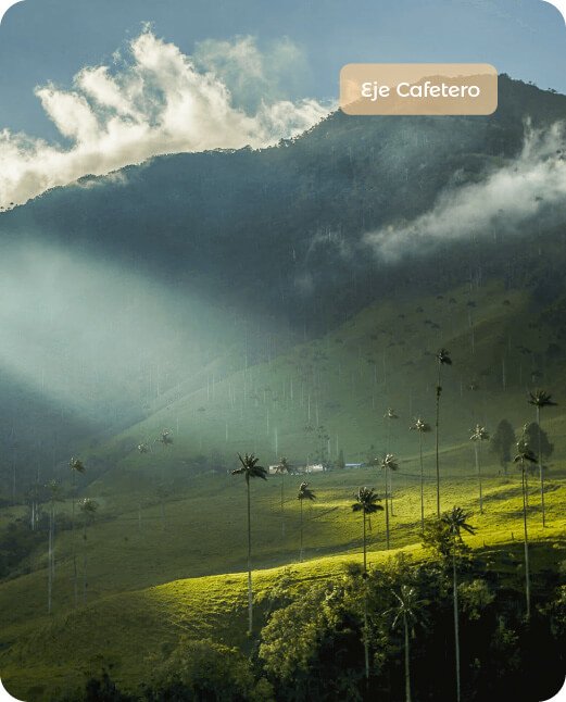 Descubre todos los destinos ecoturísticos de Colombia con Siempre Colombia: Amazonas, La Guajira, Zona Cafetera, Parque Nacional Tayrona, Llanos Orientales, Chocó Biogeográfico, Sierra Nevada de Santa Marta, San Andrés, Guaviare, Putumayo, Caquetá, Santander, Sierra de la Macarena, entre otros. Vive la aventura, biodiversidad, cultura y naturaleza con turismo responsable.