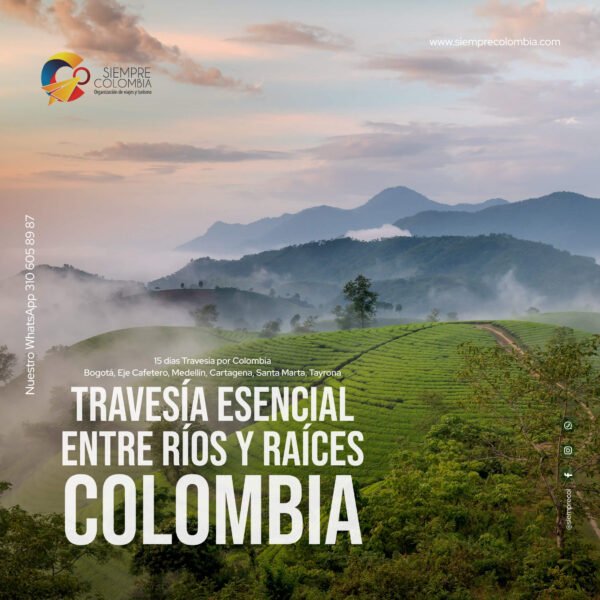 Descubre todos los destinos ecoturísticos de Colombia con Siempre Colombia: Amazonas, La Guajira, Zona Cafetera, Parque Nacional Tayrona, Llanos Orientales, Chocó Biogeográfico, Sierra Nevada de Santa Marta, San Andrés, Guaviare, Putumayo, Caquetá, Santander, Sierra de la Macarena, entre otros. Vive la aventura, biodiversidad, cultura y naturaleza con turismo responsable.
