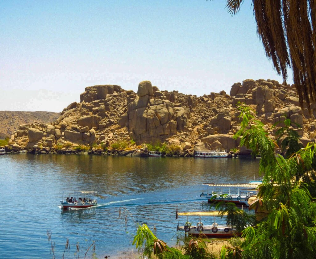 Página Principal - Egipto 8 Días - 7 Noches_Liberación de Tortugas Nuquí - Siempre Colombia -28