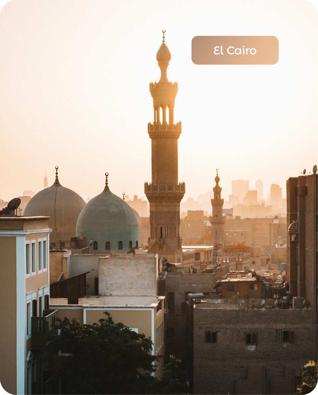 Página Principal - Egipto 8 Días - 7 Noches_Liberación de Tortugas Nuquí - Siempre Colombia - El Cairo