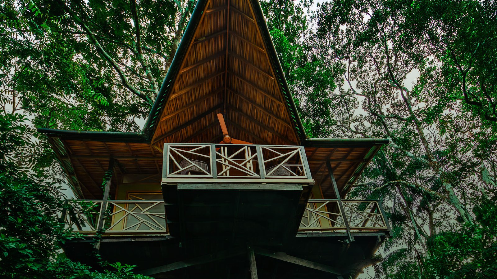 Travelers cruising down the Amazon River toward the Marasha Nature Reserve, surrounded by the Amazon rainforest and its biodiversity along the border between Colombia and Peru. - Siempre Colombia - The Land of Magical Realism - @SiempreCol