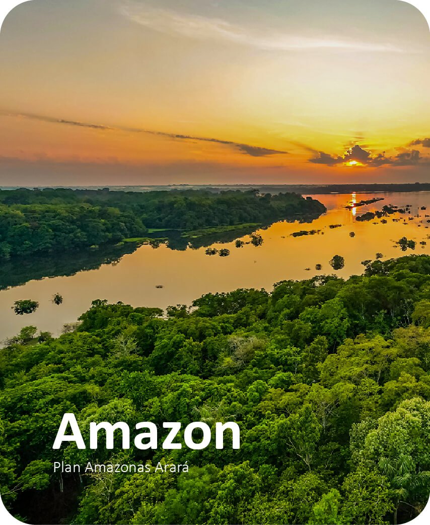 Siempre Colombia Home Sección 1 - Ingles_Amazonas - Siempre Colombia - País del realimos Mágico Organización de viajes y turismo-11