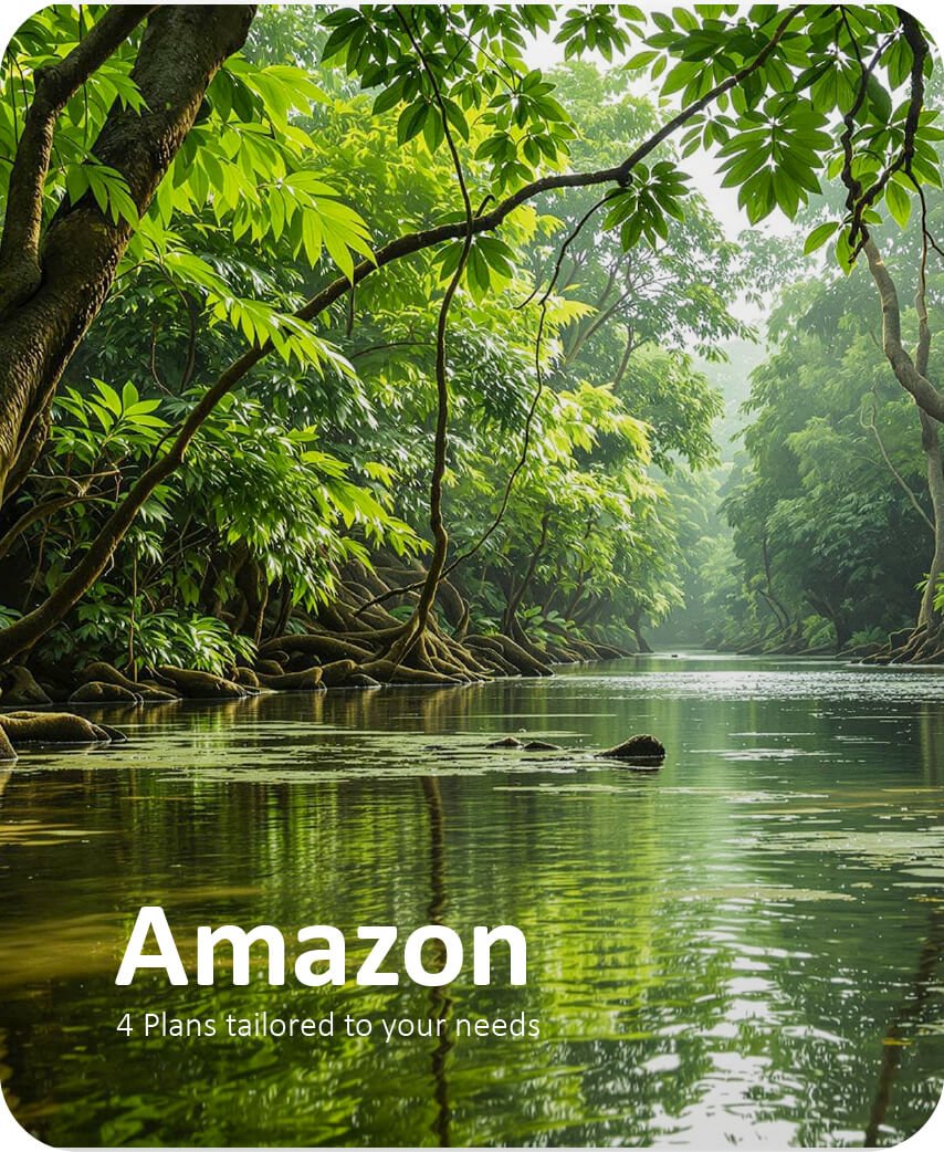 Siempre Colombia Home Sección 1 - Ingles_Amazonas - Siempre Colombia - País del realimos Mágico Organización de viajes y turismo-31