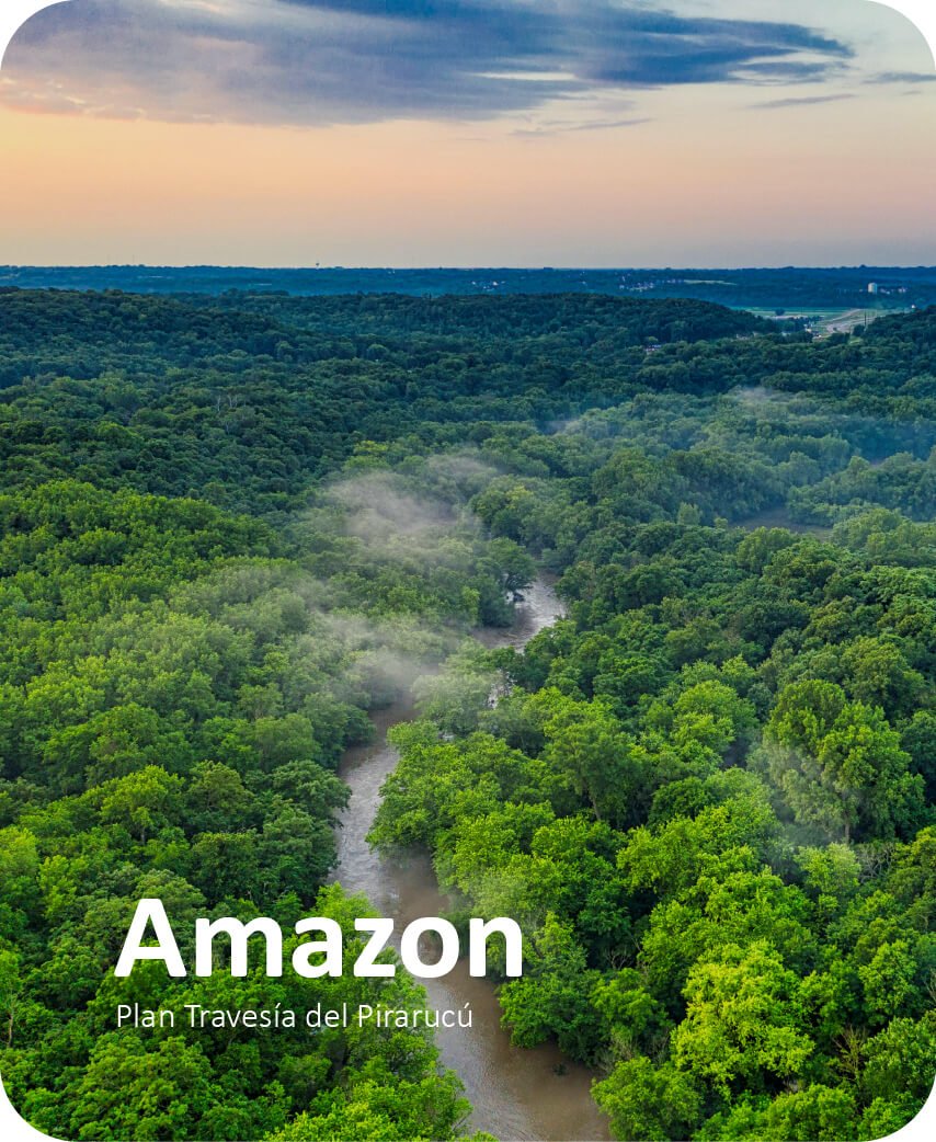Siempre Colombia Home Sección 1 - Ingles_Amazonas - Siempre Colombia - País del realimos Mágico Organización de viajes y turismo-6