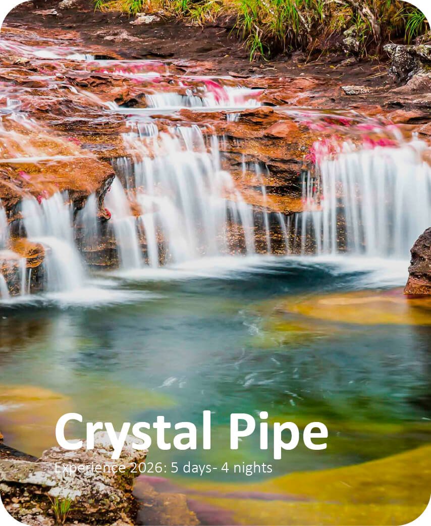 Siempre Colombia Home Sección 1 - Ingles_Caño Cristales - Siempre Colombia - País del realimos Mágico Organización de viajes y turismo-18
