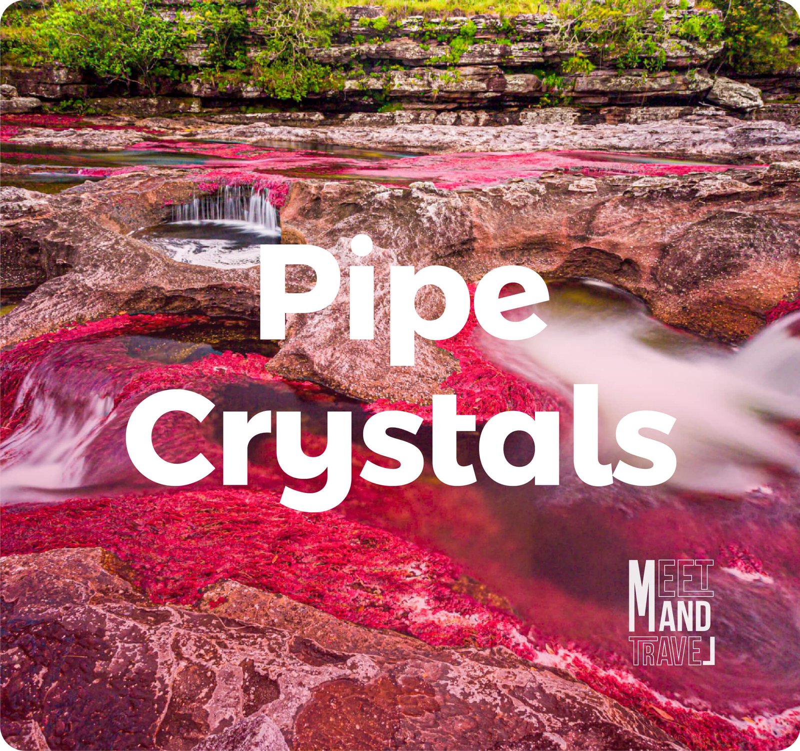 Siempre Colombia Página Home Sección 3 - Ingles_Caño Cristales - Meet and travel - Siempre Colombia - País del realimos mágico - Organización de vi