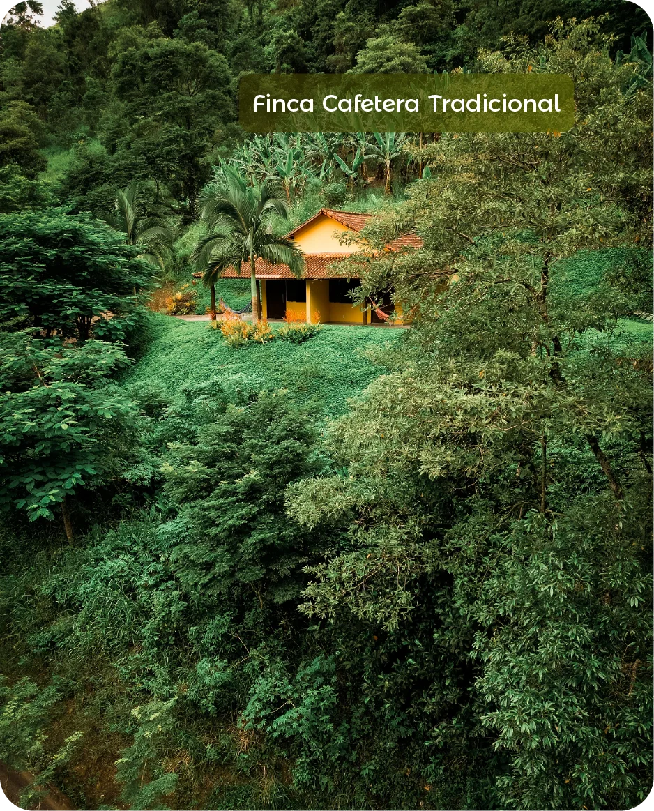 Banner Principal - Sierra Nevada_Siempre Colombia - @SiempreCol - Finca Cafetera Tradicio