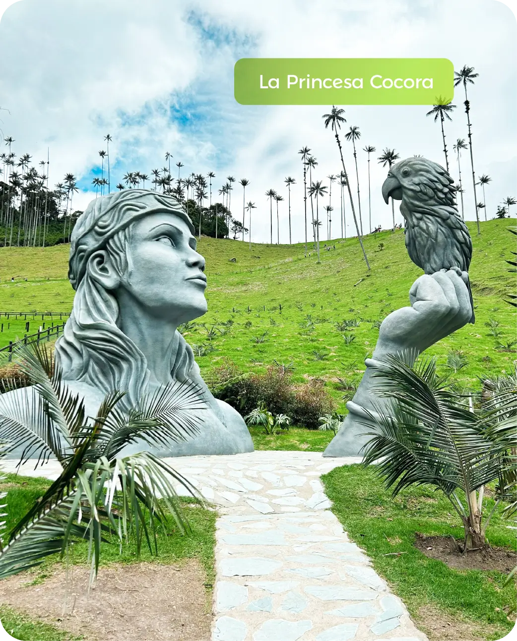 Home Eje Cafetero_Siempre Colombia - @SiempreCol - La Priceso Cocora