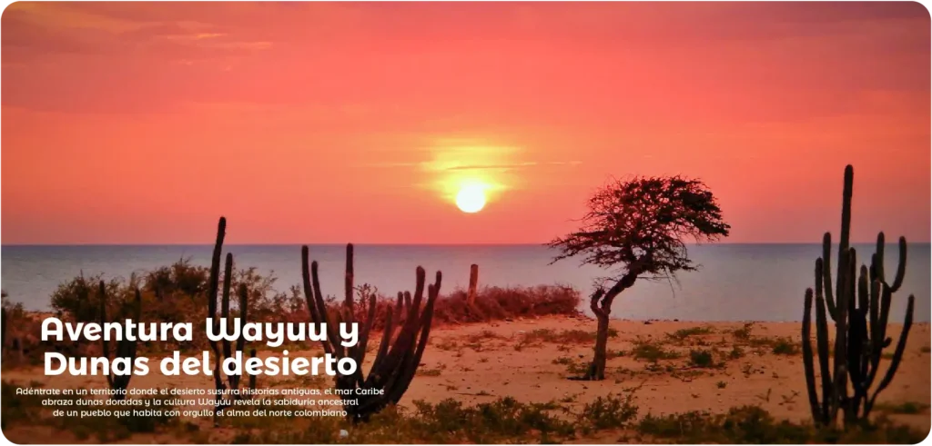 Descubre todos los destinos ecoturísticos de Colombia con Siempre Colombia: Amazonas, La Guajira, Zona Cafetera, Parque Nacional Tayrona, Llanos Orientales, Chocó Biogeográfico, Sierra Nevada de Santa Marta, San Andrés, Guaviare, Putumayo, Caquetá, Santander, Sierra de la Macarena, entre otros. Vive la aventura, biodiversidad, cultura y naturaleza con turismo responsable.