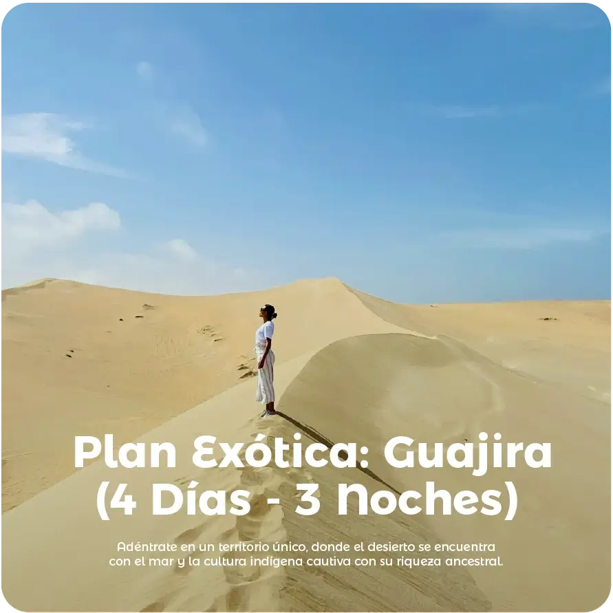 Descubre todos los destinos ecoturísticos de Colombia con Siempre Colombia: Amazonas, La Guajira, Zona Cafetera, Parque Nacional Tayrona, Llanos Orientales, Chocó Biogeográfico, Sierra Nevada de Santa Marta, San Andrés, Guaviare, Putumayo, Caquetá, Santander, Sierra de la Macarena, entre otros. Vive la aventura, biodiversidad, cultura y naturaleza con turismo responsable.