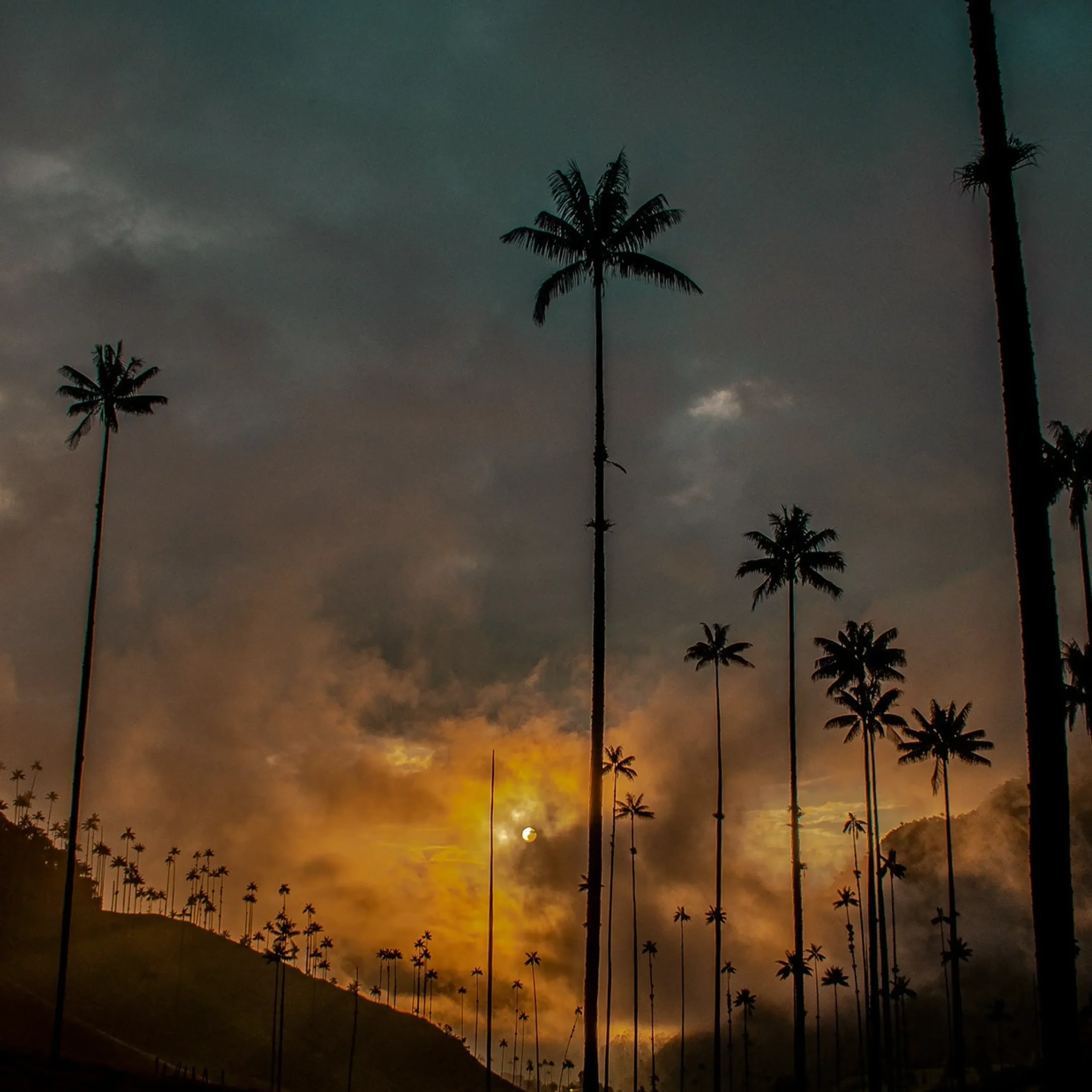 Descubre todos los destinos ecoturísticos de Colombia con Siempre Colombia: Amazonas, La Guajira, Zona Cafetera, Parque Nacional Tayrona, Llanos Orientales, Chocó Biogeográfico, Sierra Nevada de Santa Marta, San Andrés, Guaviare, Putumayo, Caquetá, Santander, Sierra de la Macarena, entre otros. Vive la aventura, biodiversidad, cultura y naturaleza con turismo responsable.