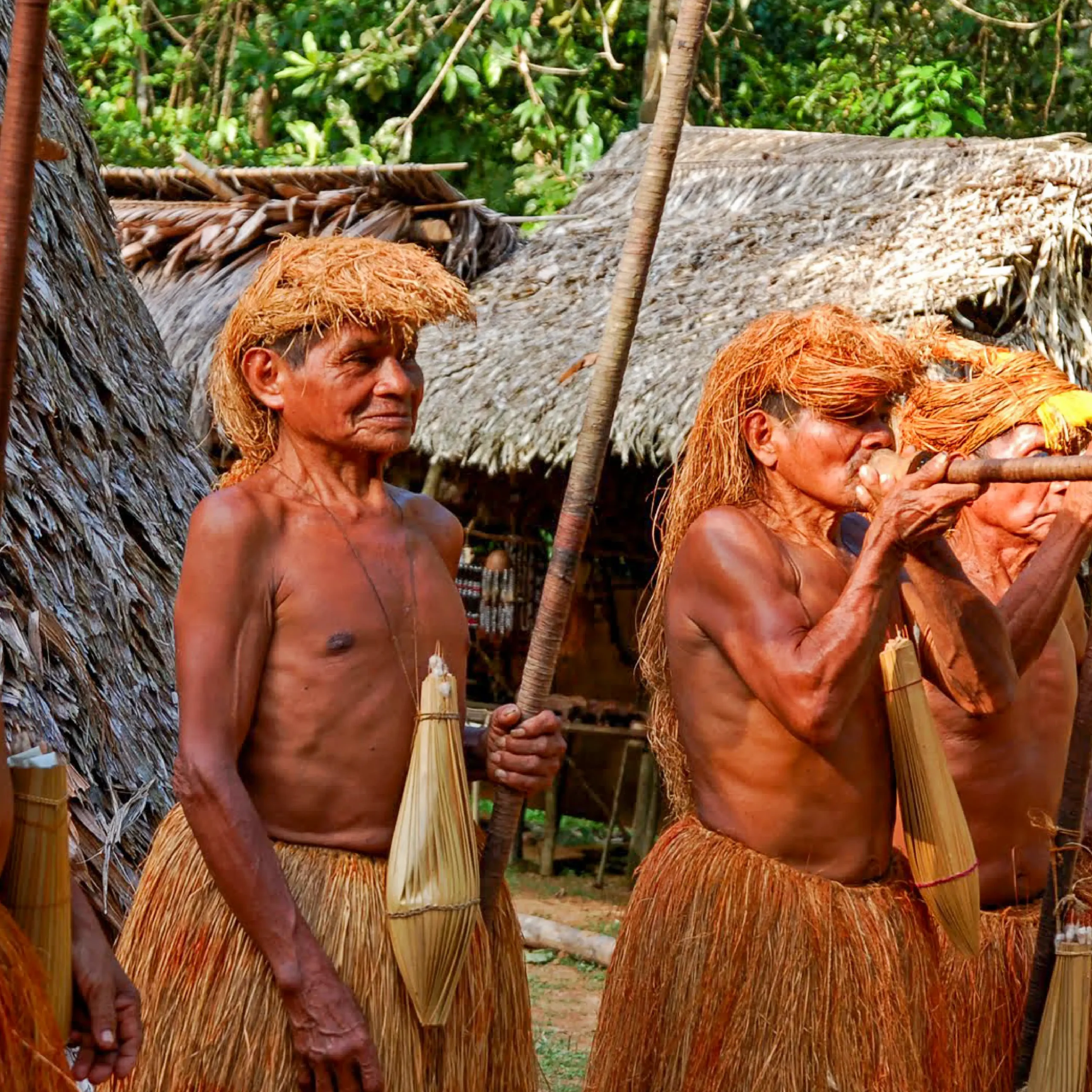 Descubre todos los destinos ecoturísticos de Colombia con Siempre Colombia: Amazonas, La Guajira, Zona Cafetera, Parque Nacional Tayrona, Llanos Orientales, Chocó Biogeográfico, Sierra Nevada de Santa Marta, San Andrés, Guaviare, Putumayo, Caquetá, Santander, Sierra de la Macarena, entre otros. Vive la aventura, biodiversidad, cultura y naturaleza con turismo responsable.