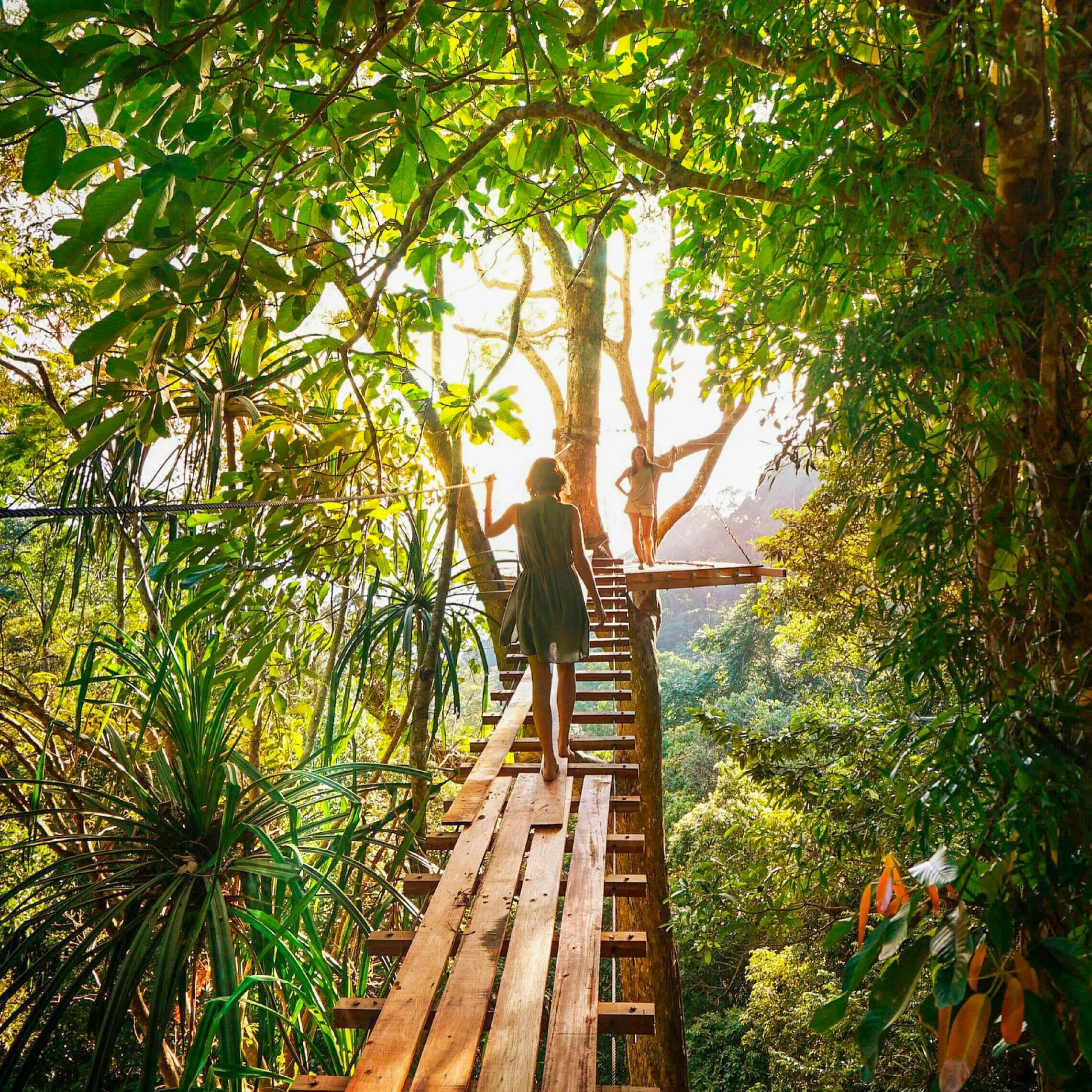 Descubre todos los destinos ecoturísticos de Colombia con Siempre Colombia: Amazonas, La Guajira, Zona Cafetera, Parque Nacional Tayrona, Llanos Orientales, Chocó Biogeográfico, Sierra Nevada de Santa Marta, San Andrés, Guaviare, Putumayo, Caquetá, Santander, Sierra de la Macarena, entre otros. Vive la aventura, biodiversidad, cultura y naturaleza con turismo responsable.