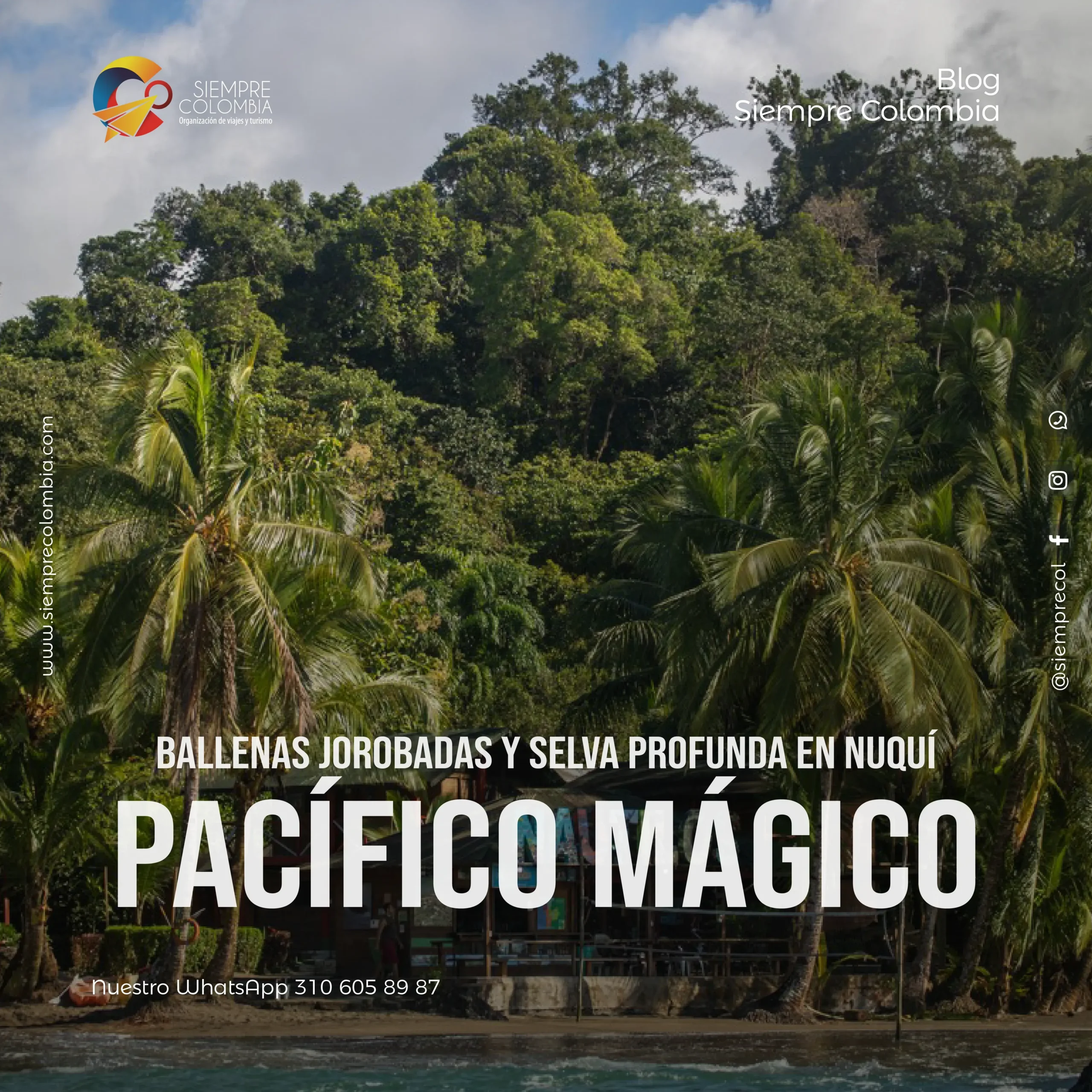 Descubre todos los destinos ecoturísticos de Colombia con Siempre Colombia: Amazonas, La Guajira, Zona Cafetera, Parque Nacional Tayrona, Llanos Orientales, Chocó Biogeográfico, Sierra Nevada de Santa Marta, San Andrés, Guaviare, Putumayo, Caquetá, Santander, Sierra de la Macarena, entre otros. Vive la aventura, biodiversidad, cultura y naturaleza con turismo responsable.