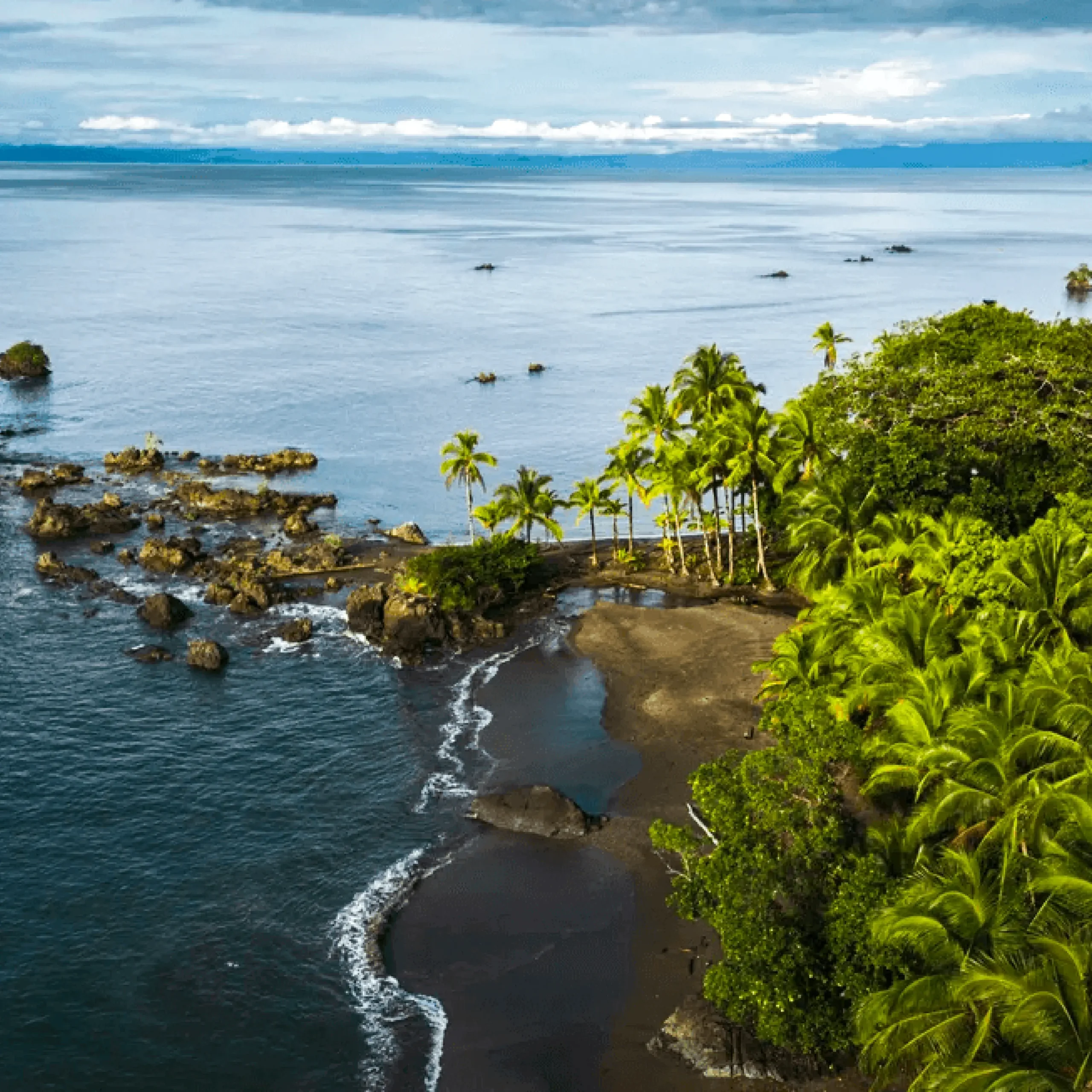 Descubre todos los destinos ecoturísticos de Colombia con Siempre Colombia: Amazonas, La Guajira, Zona Cafetera, Parque Nacional Tayrona, Llanos Orientales, Chocó Biogeográfico, Sierra Nevada de Santa Marta, San Andrés, Guaviare, Putumayo, Caquetá, Santander, Sierra de la Macarena, entre otros. Vive la aventura, biodiversidad, cultura y naturaleza con turismo responsable.