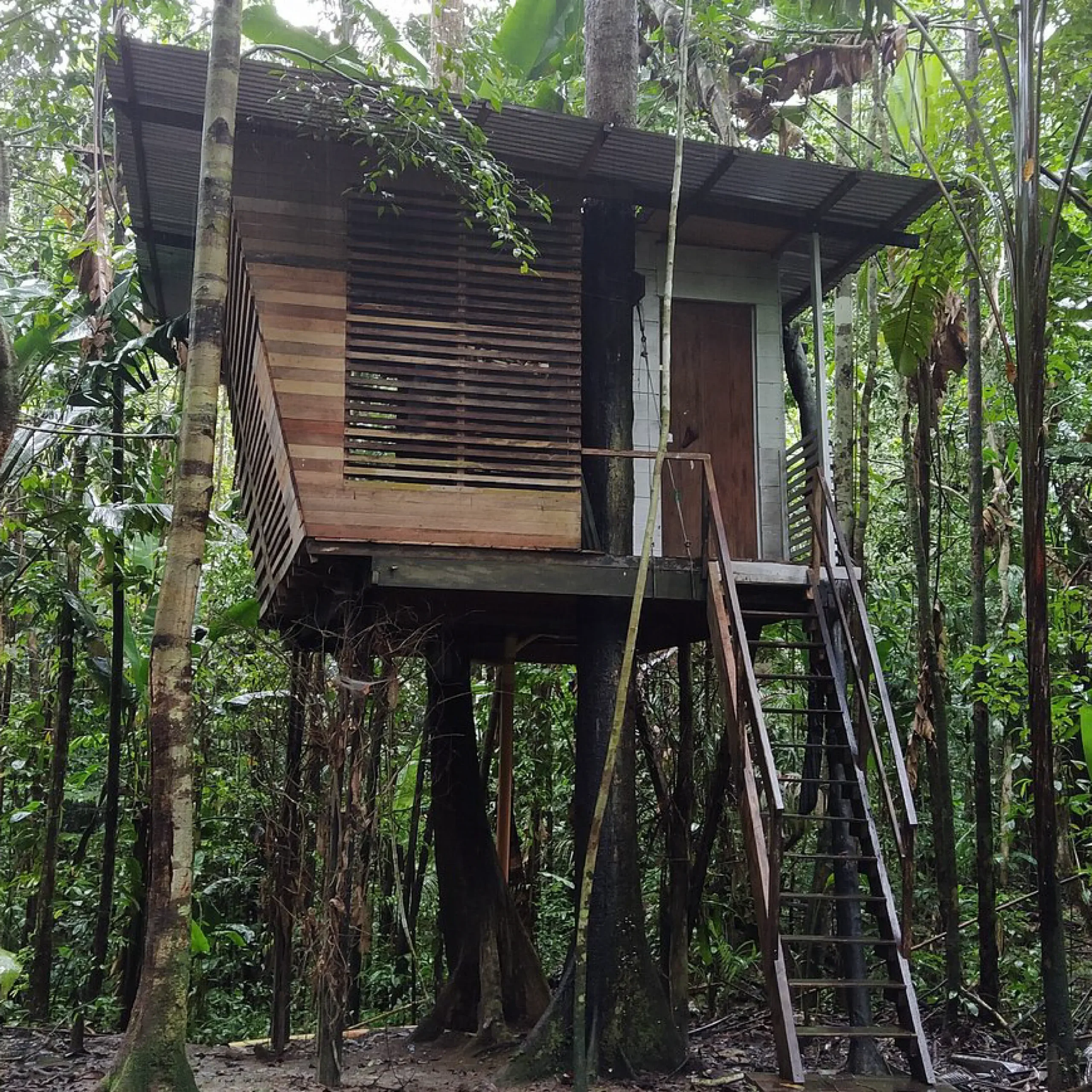 Descubre todos los destinos ecoturísticos de Colombia con Siempre Colombia: Amazonas, La Guajira, Zona Cafetera, Parque Nacional Tayrona, Llanos Orientales, Chocó Biogeográfico, Sierra Nevada de Santa Marta, San Andrés, Guaviare, Putumayo, Caquetá, Santander, Sierra de la Macarena, entre otros. Vive la aventura, biodiversidad, cultura y naturaleza con turismo responsable.