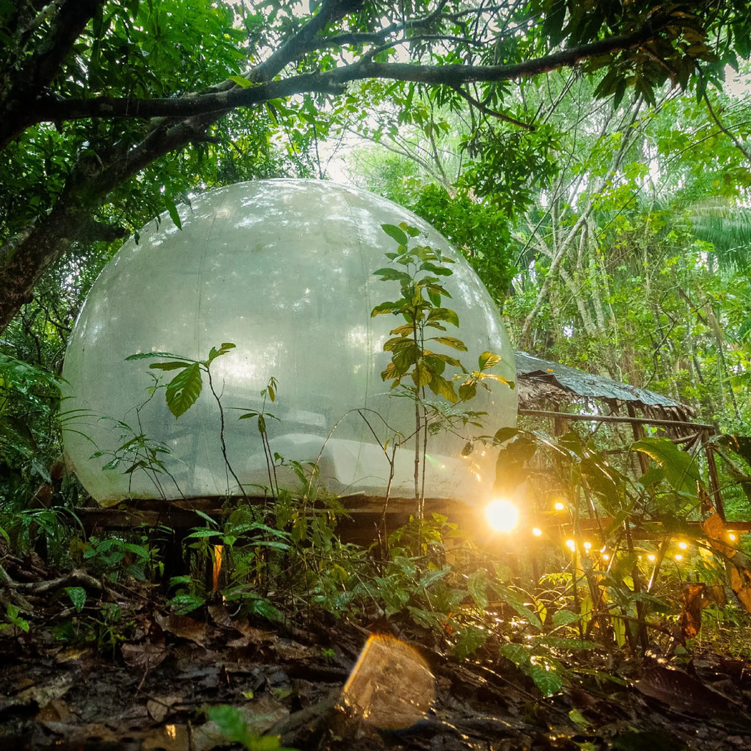 Descubre todos los destinos ecoturísticos de Colombia con Siempre Colombia: Amazonas, La Guajira, Zona Cafetera, Parque Nacional Tayrona, Llanos Orientales, Chocó Biogeográfico, Sierra Nevada de Santa Marta, San Andrés, Guaviare, Putumayo, Caquetá, Santander, Sierra de la Macarena, entre otros. Vive la aventura, biodiversidad, cultura y naturaleza con turismo responsable.