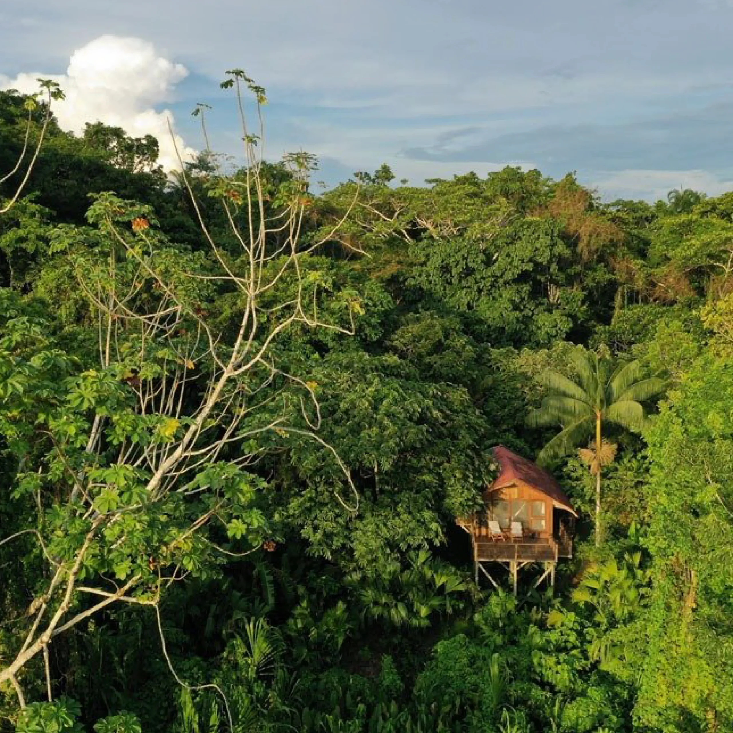 Descubre todos los destinos ecoturísticos de Colombia con Siempre Colombia: Amazonas, La Guajira, Zona Cafetera, Parque Nacional Tayrona, Llanos Orientales, Chocó Biogeográfico, Sierra Nevada de Santa Marta, San Andrés, Guaviare, Putumayo, Caquetá, Santander, Sierra de la Macarena, entre otros. Vive la aventura, biodiversidad, cultura y naturaleza con turismo responsable.