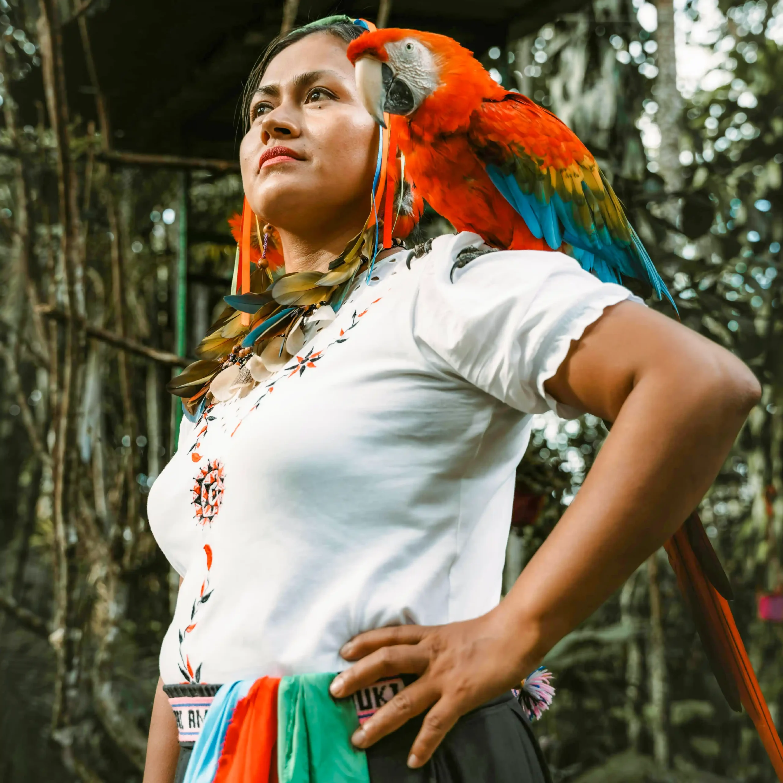 Descubre todos los destinos ecoturísticos de Colombia con Siempre Colombia: Amazonas, La Guajira, Zona Cafetera, Parque Nacional Tayrona, Llanos Orientales, Chocó Biogeográfico, Sierra Nevada de Santa Marta, San Andrés, Guaviare, Putumayo, Caquetá, Santander, Sierra de la Macarena, entre otros. Vive la aventura, biodiversidad, cultura y naturaleza con turismo responsable.