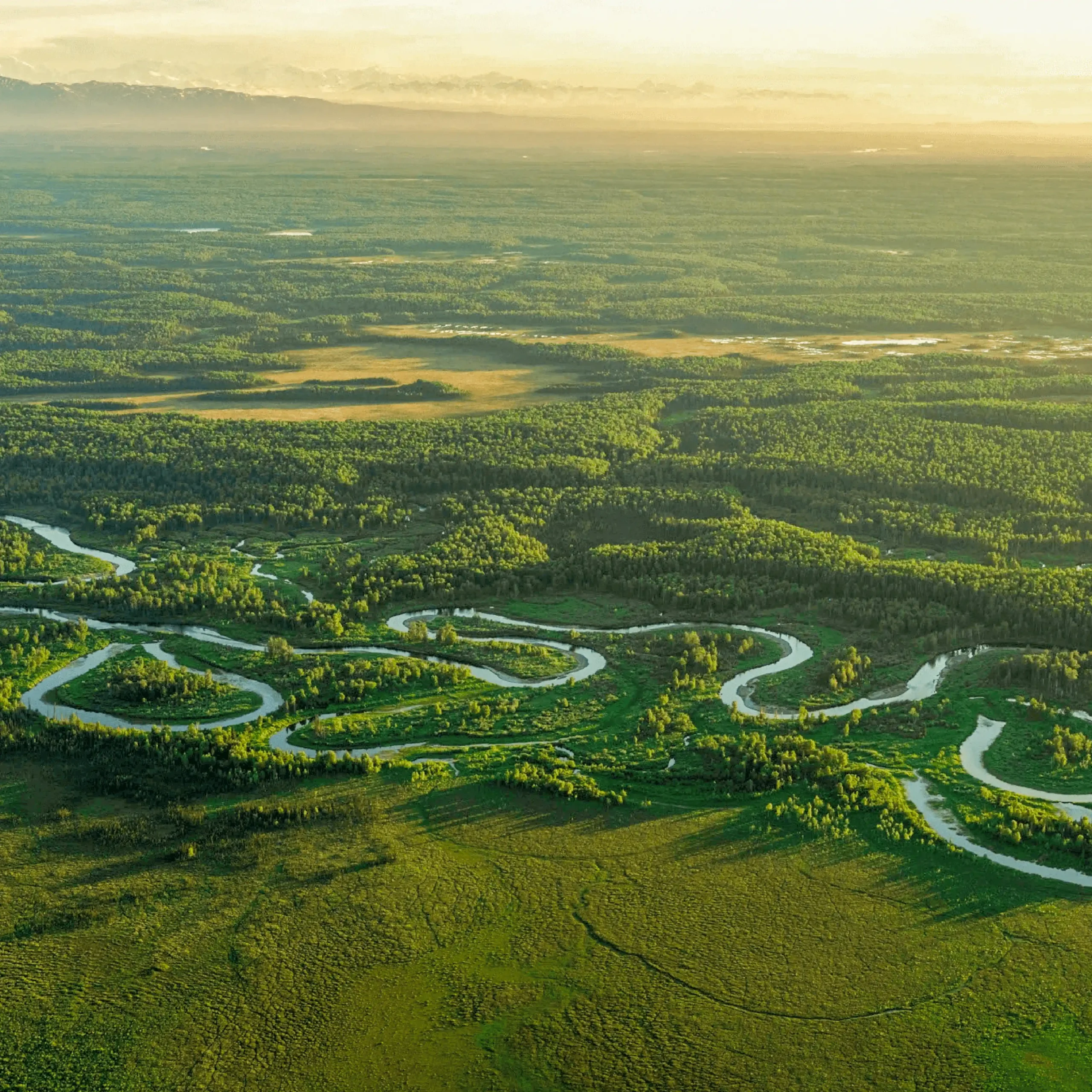 Descubre todos los destinos ecoturísticos de Colombia con Siempre Colombia: Amazonas, La Guajira, Zona Cafetera, Parque Nacional Tayrona, Llanos Orientales, Chocó Biogeográfico, Sierra Nevada de Santa Marta, San Andrés, Guaviare, Putumayo, Caquetá, Santander, Sierra de la Macarena, entre otros. Vive la aventura, biodiversidad, cultura y naturaleza con turismo responsable.