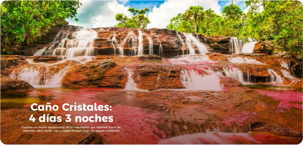 Descubre todos los destinos ecoturísticos de Colombia con Siempre Colombia: Amazonas, La Guajira, Zona Cafetera, Parque Nacional Tayrona, Llanos Orientales, Chocó Biogeográfico, Sierra Nevada de Santa Marta, San Andrés, Guaviare, Putumayo, Caquetá, Santander, Sierra de la Macarena, entre otros. Vive la aventura, biodiversidad, cultura y naturaleza con turismo responsable.