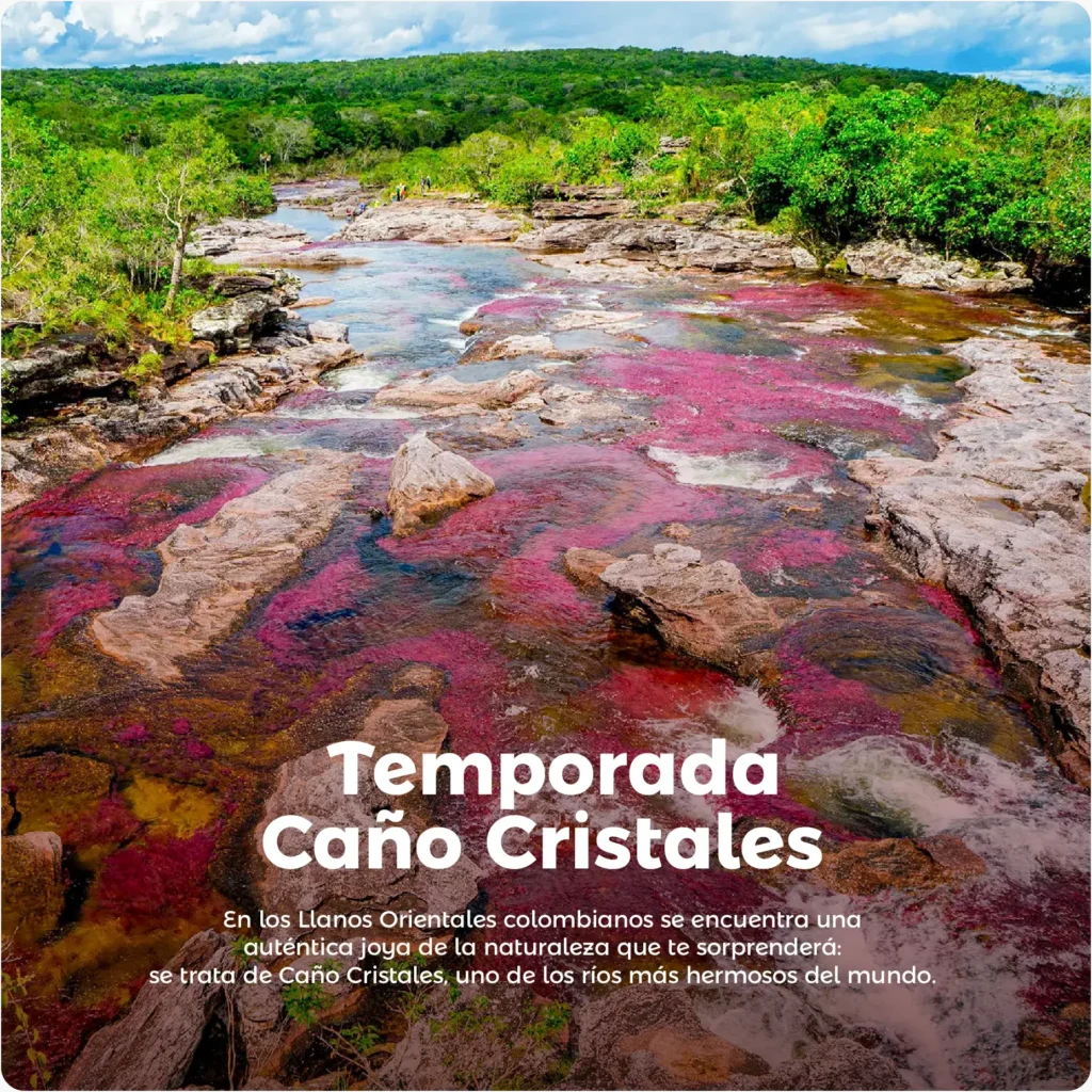 Descubre todos los destinos ecoturísticos de Colombia con Siempre Colombia: Amazonas, La Guajira, Zona Cafetera, Parque Nacional Tayrona, Llanos Orientales, Chocó Biogeográfico, Sierra Nevada de Santa Marta, San Andrés, Guaviare, Putumayo, Caquetá, Santander, Sierra de la Macarena, entre otros. Vive la aventura, biodiversidad, cultura y naturaleza con turismo responsable.