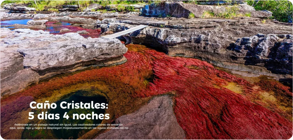 Descubre todos los destinos ecoturísticos de Colombia con Siempre Colombia: Amazonas, La Guajira, Zona Cafetera, Parque Nacional Tayrona, Llanos Orientales, Chocó Biogeográfico, Sierra Nevada de Santa Marta, San Andrés, Guaviare, Putumayo, Caquetá, Santander, Sierra de la Macarena, entre otros. Vive la aventura, biodiversidad, cultura y naturaleza con turismo responsable.