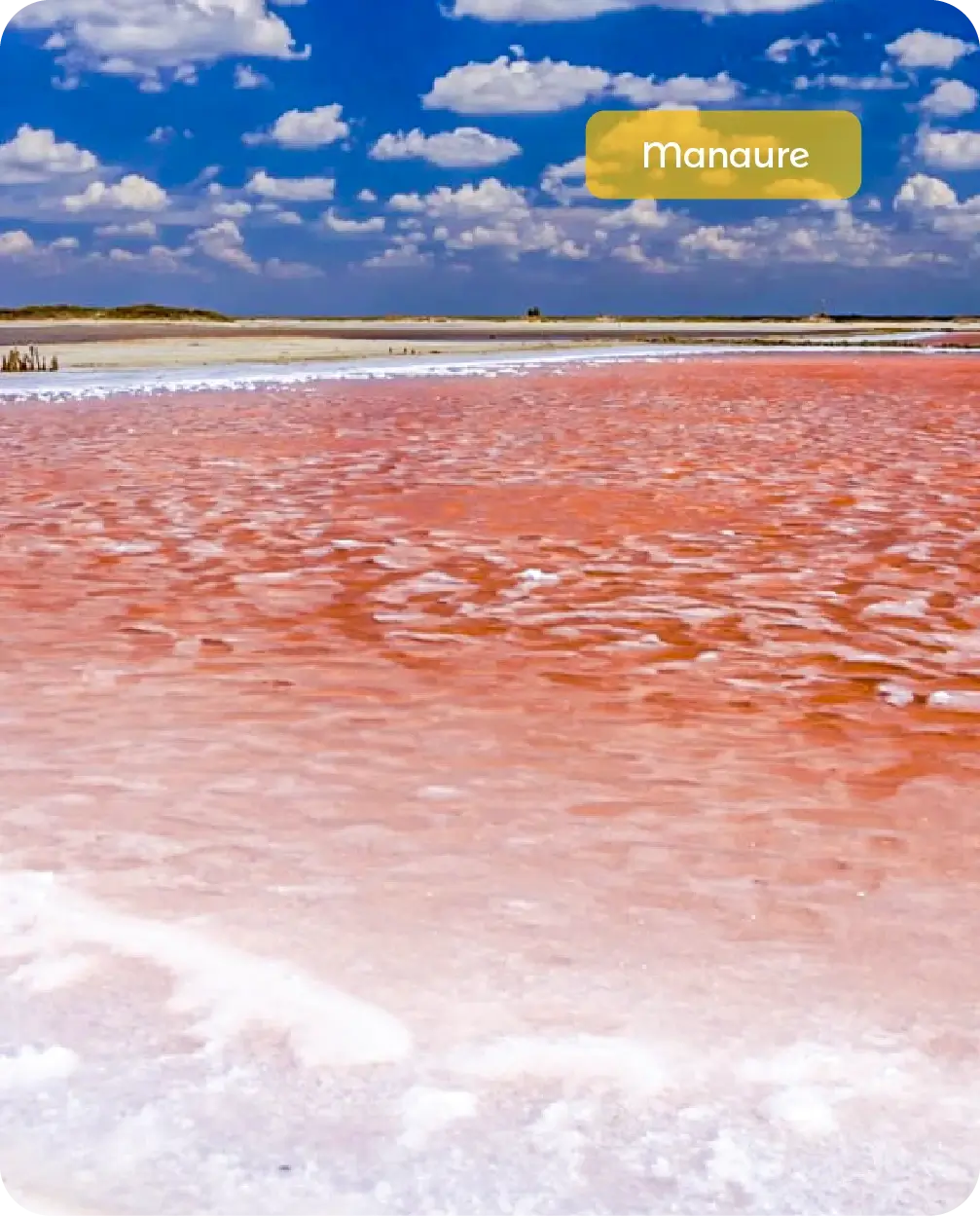 Descubre todos los destinos ecoturísticos de Colombia con Siempre Colombia: Amazonas, La Guajira, Zona Cafetera, Parque Nacional Tayrona, Llanos Orientales, Chocó Biogeográfico, Sierra Nevada de Santa Marta, San Andrés, Guaviare, Putumayo, Caquetá, Santander, Sierra de la Macarena, entre otros. Vive la aventura, biodiversidad, cultura y naturaleza con turismo responsable.