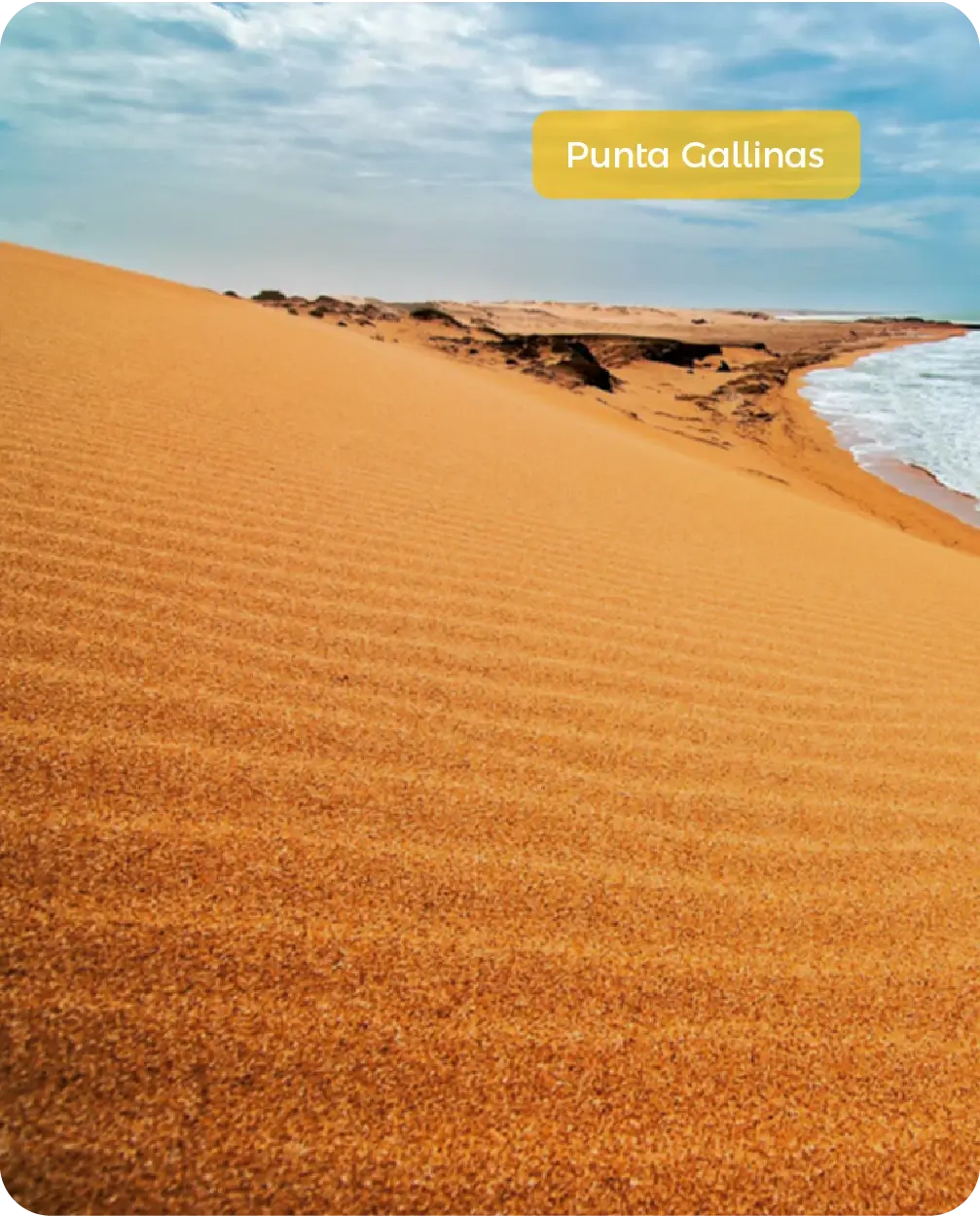 Descubre todos los destinos ecoturísticos de Colombia con Siempre Colombia: Amazonas, La Guajira, Zona Cafetera, Parque Nacional Tayrona, Llanos Orientales, Chocó Biogeográfico, Sierra Nevada de Santa Marta, San Andrés, Guaviare, Putumayo, Caquetá, Santander, Sierra de la Macarena, entre otros. Vive la aventura, biodiversidad, cultura y naturaleza con turismo responsable.