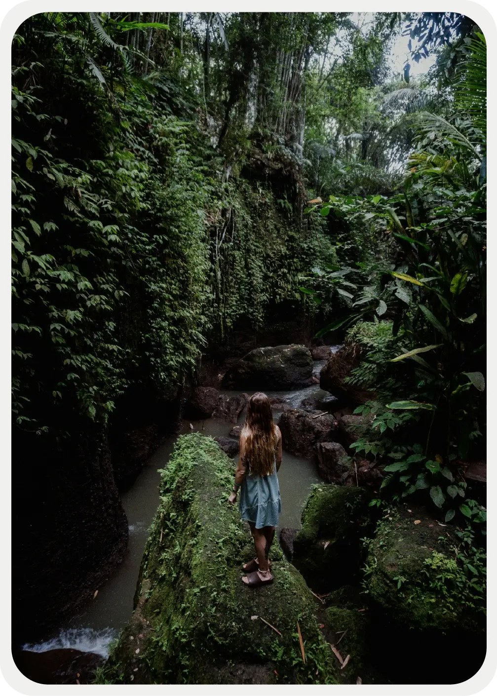 Descubre todos los destinos ecoturísticos de Colombia con Siempre Colombia: Amazonas, La Guajira, Zona Cafetera, Parque Nacional Tayrona, Llanos Orientales, Chocó Biogeográfico, Sierra Nevada de Santa Marta, San Andrés, Guaviare, Putumayo, Caquetá, Santander, Sierra de la Macarena, entre otros. Vive la aventura, biodiversidad, cultura y naturaleza con turismo responsable.